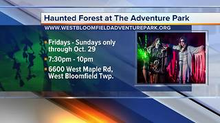 The Adventure Park: Haunted Forest