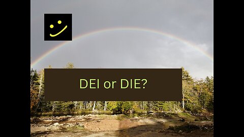 DEI or DIE?