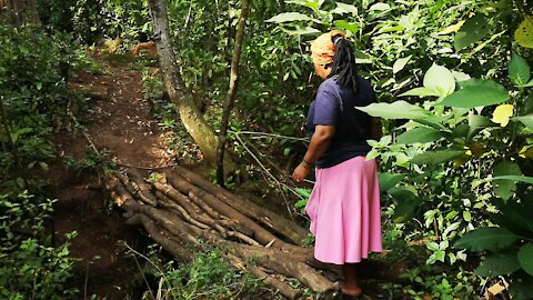 OUTH AFRICA - Durban - KZN MEC of Edu Kwazi Mshengu visit the homeless family leaving in the bush (Video) (Vs7)