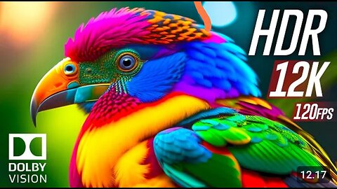 Best of Dolby Vision 12K HDR 120fps the Animals