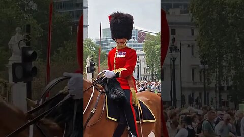 Coldstream guard on horseback back Buckingham Palace #horseguardsparade