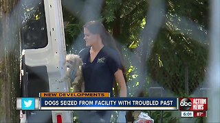 The 350 seized dogs by animal investigators will not be available for adoption for at least 30 days