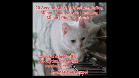 20 Second Short Of Best Meditation Music | Piano Music | Relaxing Music | Piano Cat Part 2 #shorts