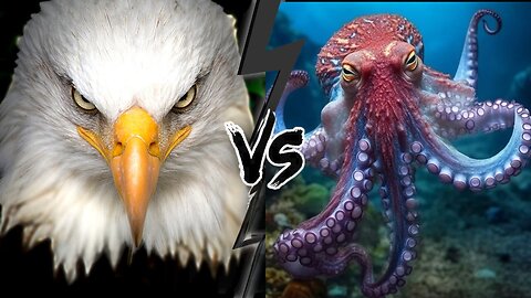 The Eagle Dies While Hunting OctopusEagle's Last Flight