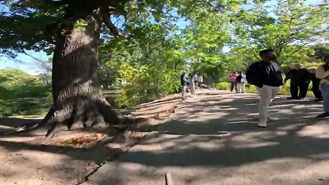 Boston 4K Tour - Back Bay Fens Victory Garden 🌳🚴‍♂️🚇 How much is open? Work being done? Paths lanes