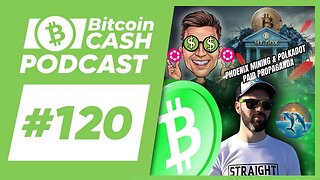 The Bitcoin Cash Podcast #120: Phoenix Mining & Polygon Paid Shills feat Paul
