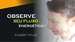 OBSERVE SEU FLUXO DE ENERGIA, ECKHART TOLLE DUBLADO