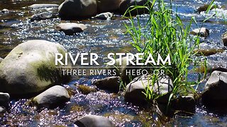 4K Relaxing River Stream - Soothing Sounds of Nature