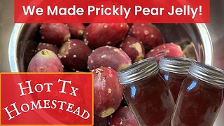 We Made Prickly Pear Jelly!