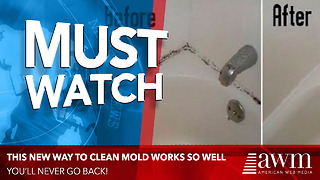 New Mold Killing Method Works Better Than Any Other