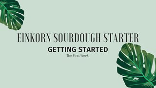 Einkorn Sourdough Starter…getting started