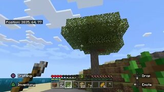 Minecraft Part 12-A Growing Tree Farm