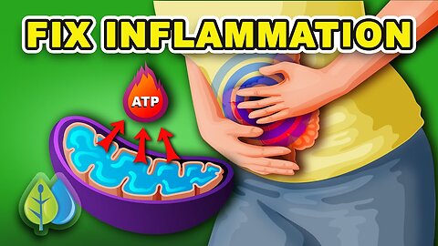 type 2 diabetes chronic inflammation