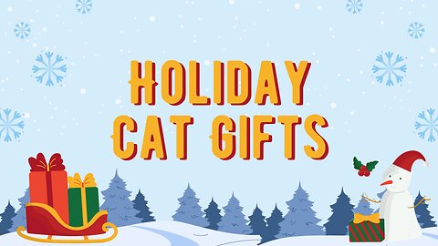 Holiday gifts for your cat