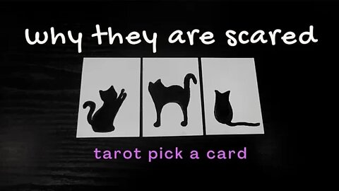 Why They Fear You Pick a Card Tarot Reading Intuitive Update