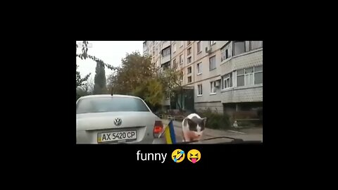 Full denger funny 🤣 video shoot 😄 #usa #funny ...