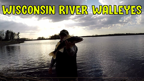 Wisconsin River Walleyes