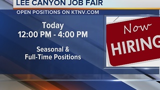 Lee Canyon Hosts Job Fair today