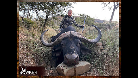 Surviving the Ultimate African Adventure: Cape Buffalo Hunt