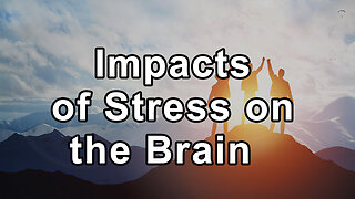 Impacts of Stress on the Brain and the Power of Mindfulness - Beth Frates, MD