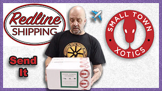How To Ship Reptiles | Redline Shipping