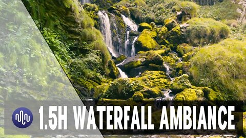 Soothing waterfall background ambiance to chill, study, work or relax | 1.5 hour