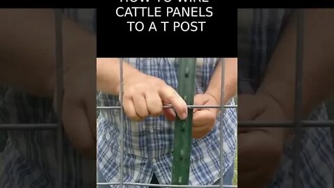 OLD FARMER HACK How to Wire a Cattle Panel to a T Post