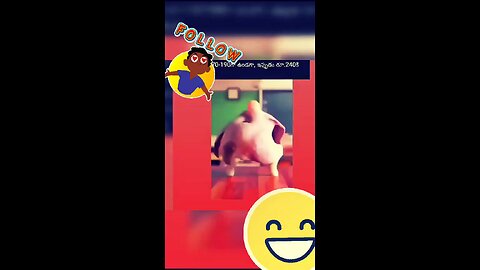 Funny videos