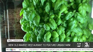 New Old Market restaurant to feature urban farm