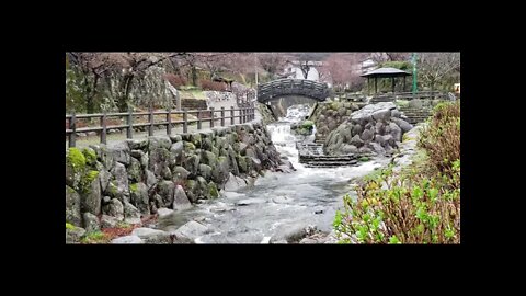 Relaxing River Sounds Through the Park. One Hour Ver.