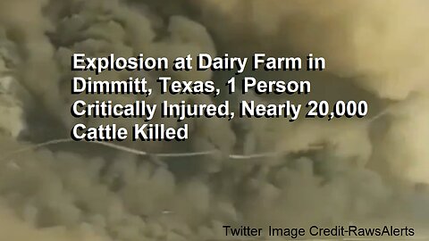 Explosion at Dairy Farm in Dimmitt, Texas, 1 Person Critically Injured, Nearly 20,000 Cattle Killed