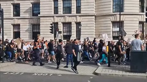 Noisey save Xl bully's protest passes horse guards #horseguardsparade #xlbullies