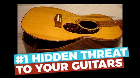 #1 HIDDEN THREAT to your guitars - D’Addario Humidipak - Does it work?