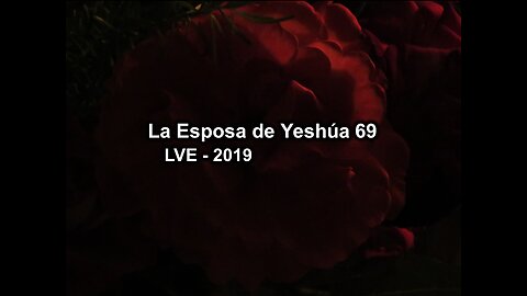 La Esposa de Yeshúa 69 - YHWH Ekjad 48 - Juan 9