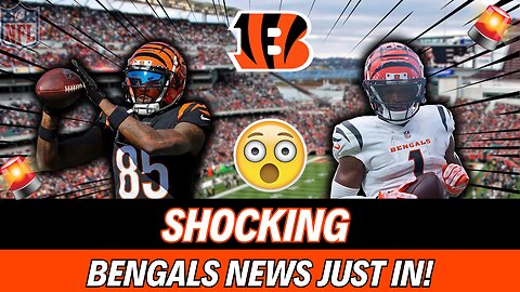 🚨 JUST IN: SHOCKING DEVELOPMENTS BEHIND THE SCENES AT THE JUNGLE! 🐅 WHO DEY NATION NEWS