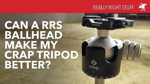 RRS BH55 so good it makes any tripod better