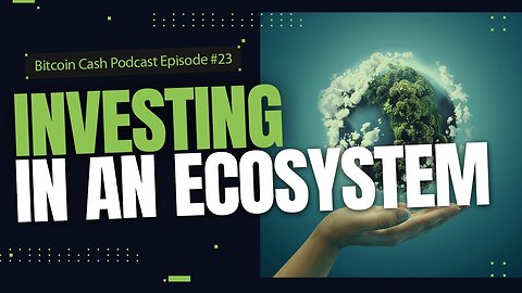 Investing in an Ecosystem