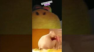 The Thanksgiving Turkey #plush #meme #funny