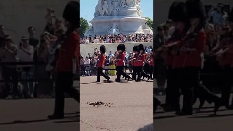 Changing of the Guards Buckingham Palace band #buckinghampalace