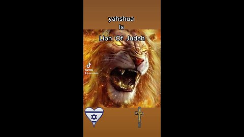 A lion of ￼ Judah