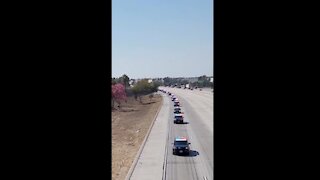 Fallen Marine Kareem Nikoui Procession