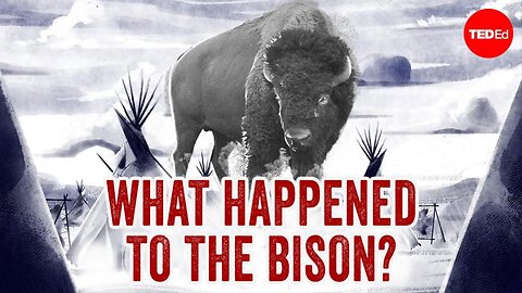 Why did the US try to kill all the bison? - Andrew C. Isenberg