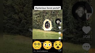 Mysterious forest portal