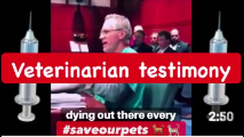 🐈 🐕 VETERINARIAN TESTIMONY..... YOUR PETS ARE DYING FROM VACCINES 💉 😢😡