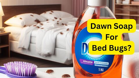 How To Use Dawn Soap For Bed Bugs