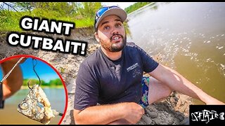 UNEXPECTED catch BANK FISHING in the river with giant bait