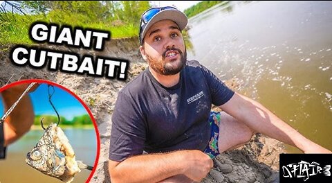 UNEXPECTED catch BANK FISHING in the river with giant bait