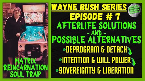 Ep7 Wayne Bush AFTERLIFE SOLUTIONS & Possible Alternatives | Matrix Reincarnation Soul Trap