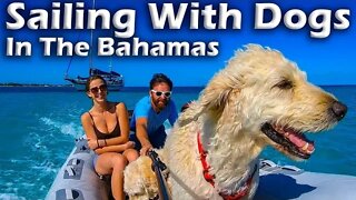 Sailing With Dogs in the Bahamas! S5:E12