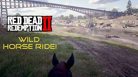 Red Dead Redemption II - "Wild Horse Ride"